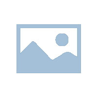 新發(fā)展交通集團(tuán)在廣西優(yōu)秀企業(yè)、優(yōu)秀企業(yè)家評(píng)比中獲表彰